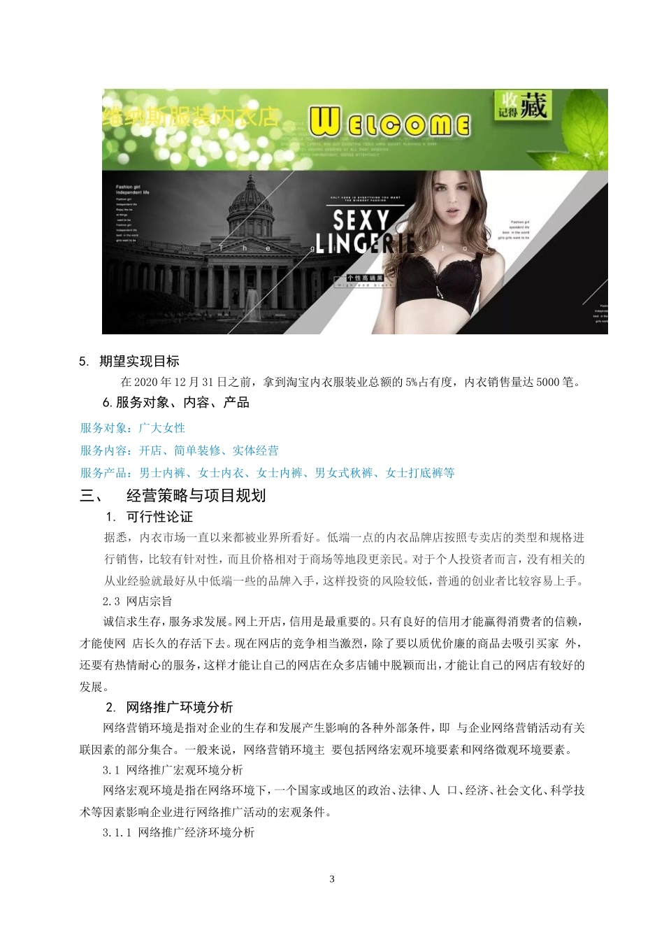 电子商务技术课程创新项目 设计小组实践报告_第3页