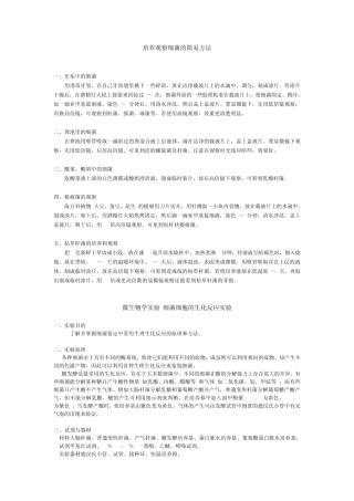 培养观察细菌的简易方法