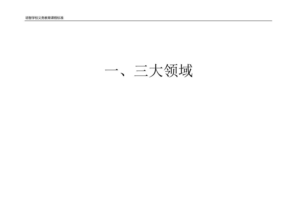 培智学校课程标准_第2页