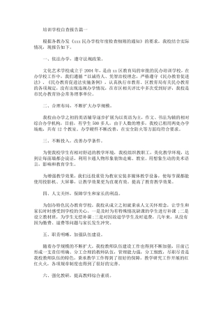 培训学校自查报告