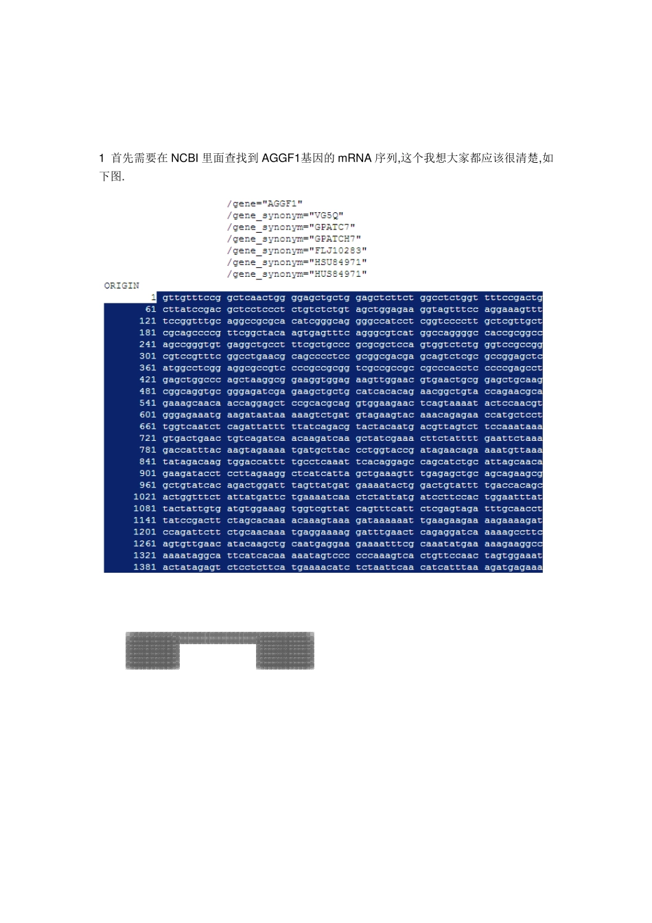 基因启动子分析基本流程_第2页