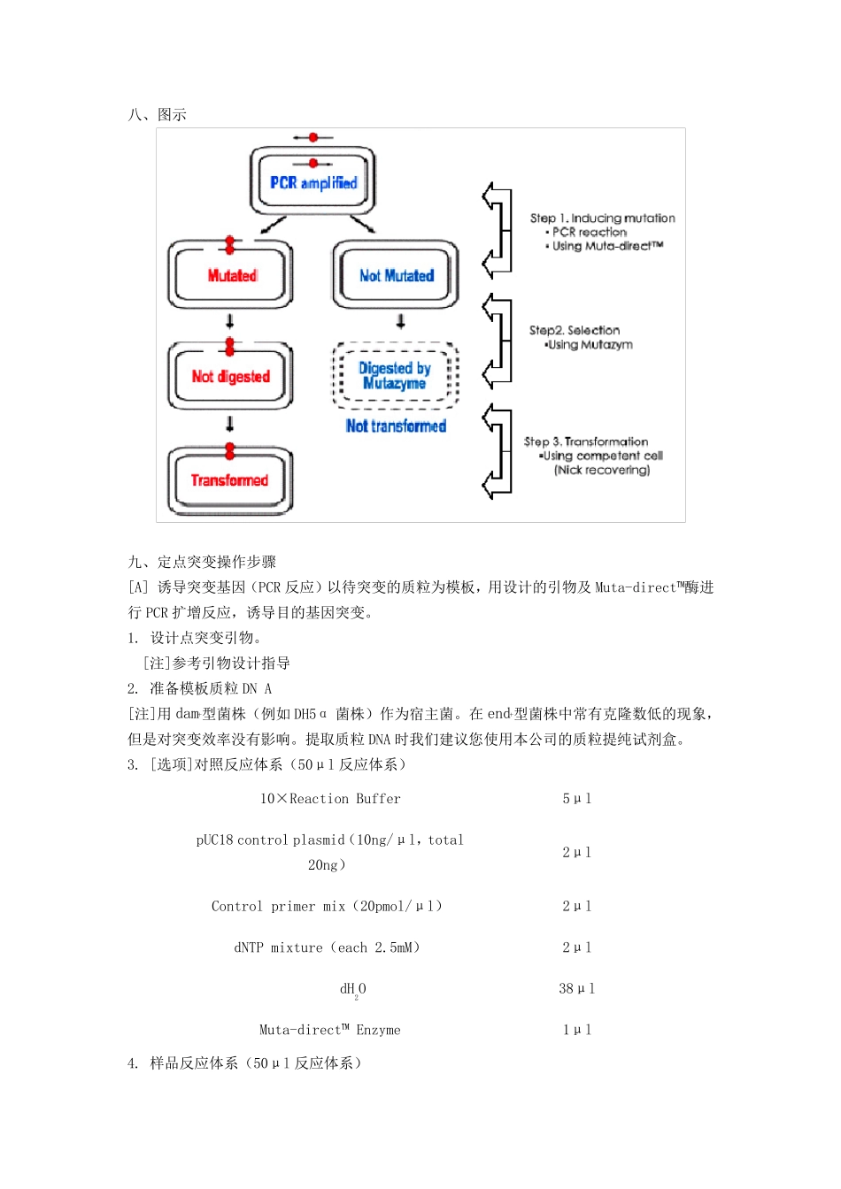 基因定点突变全攻略_第3页