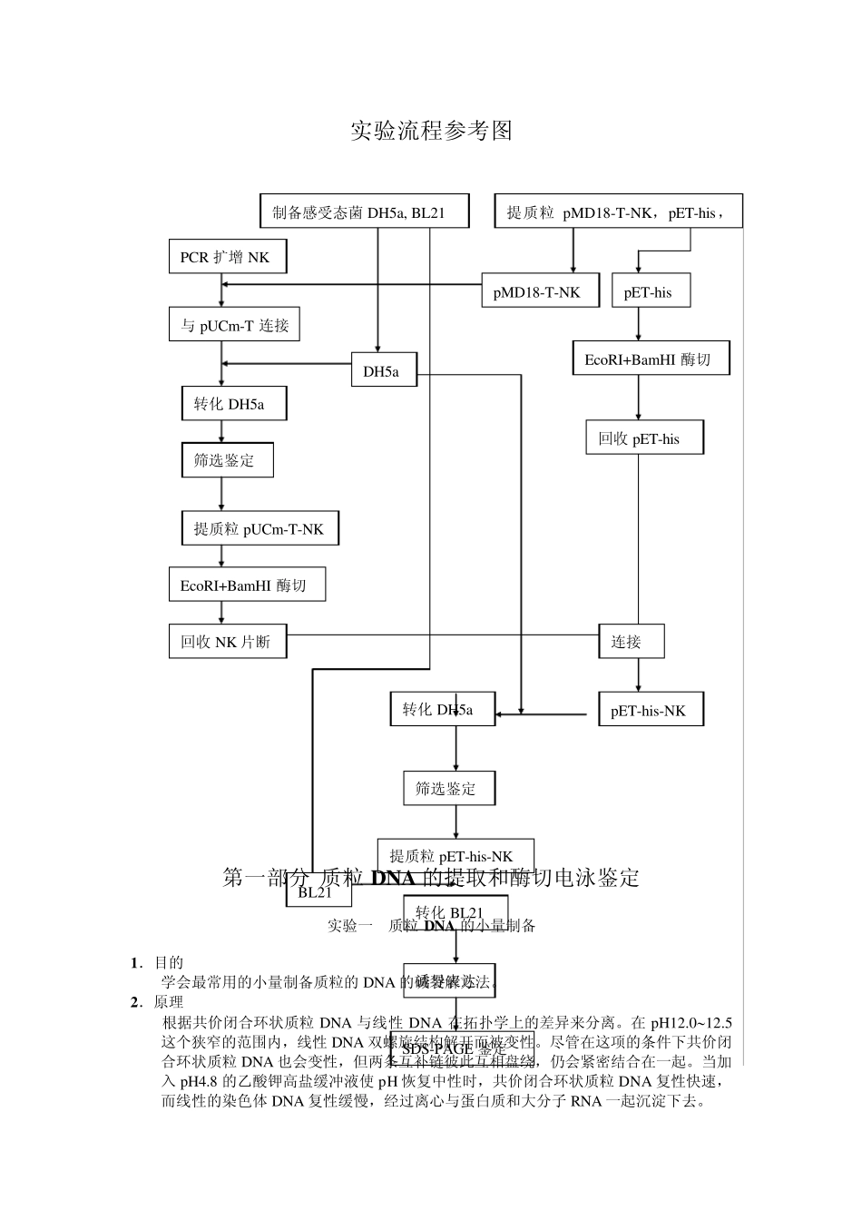 基因工程操作注意事项_第2页