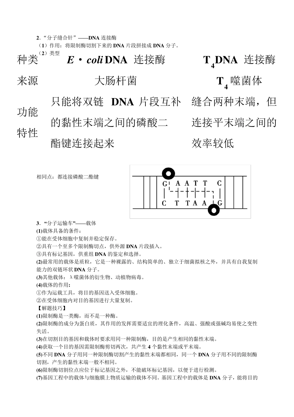 基因工程知识点超全_第3页