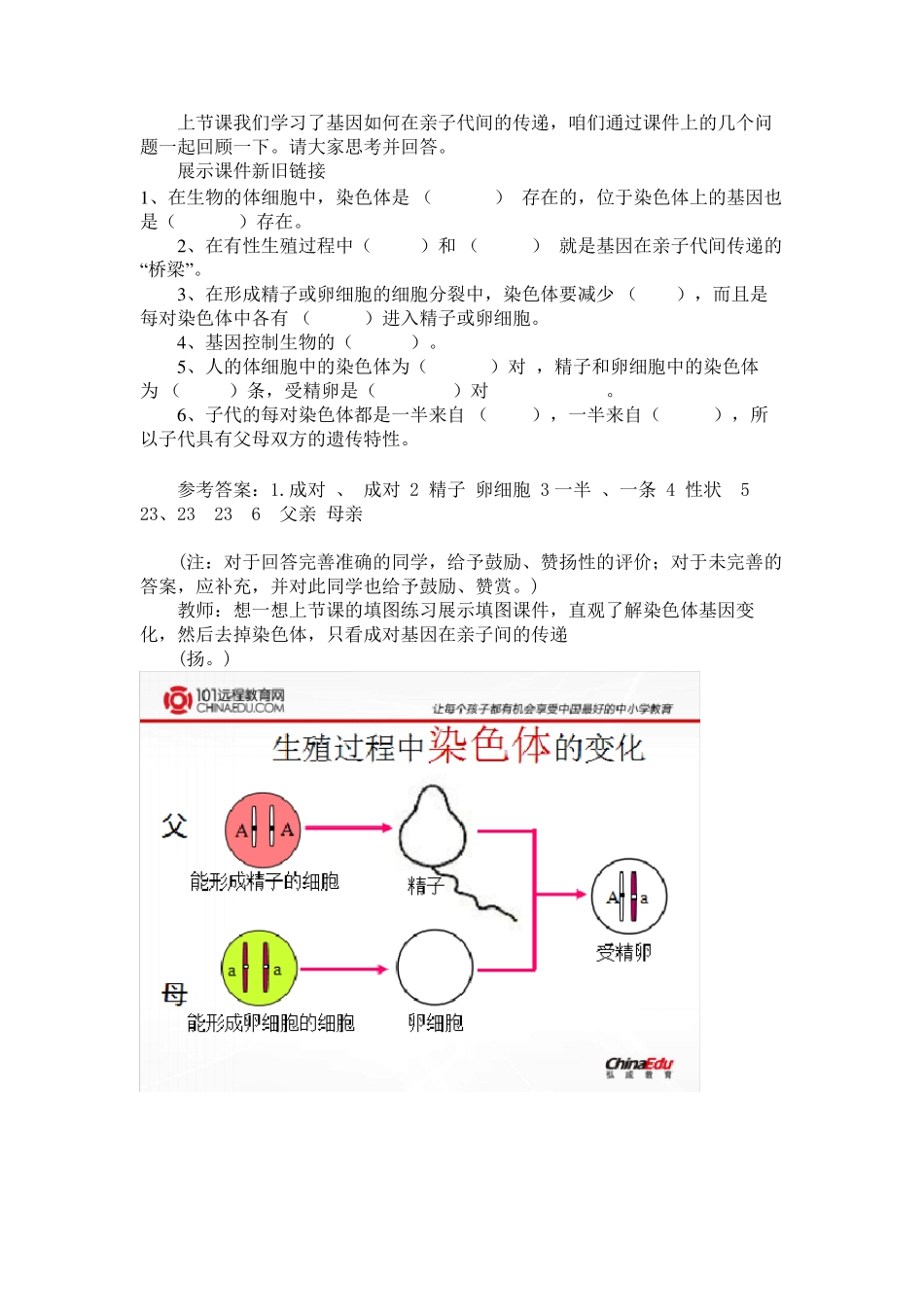 基因的显性与隐性教案_第2页