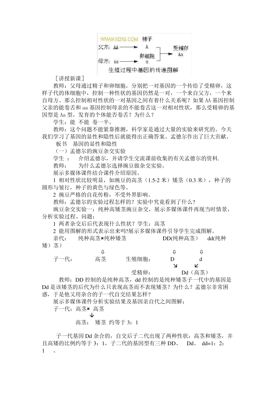 基因的显性与隐性教案_第3页