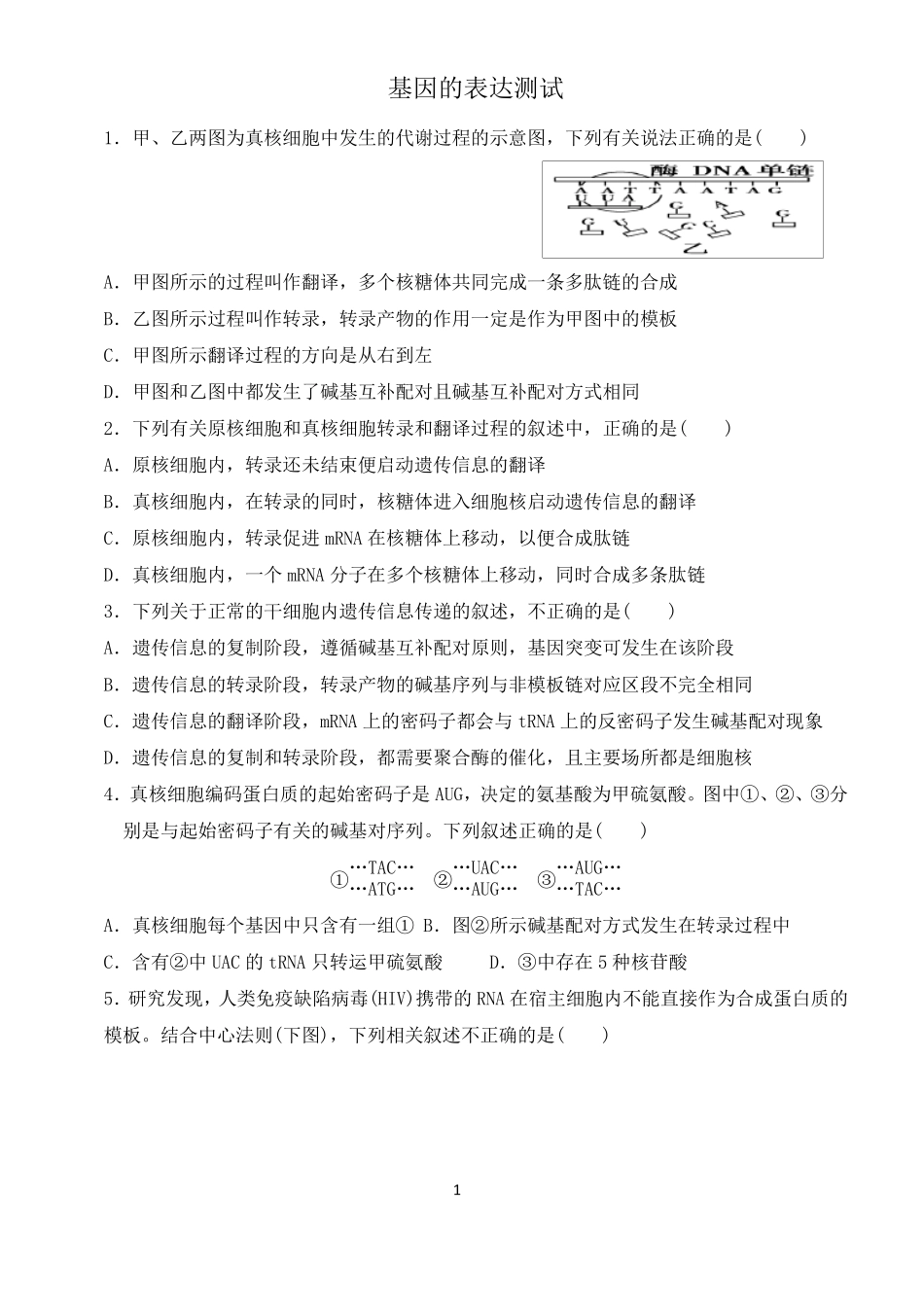 基因的表达测试题_第1页