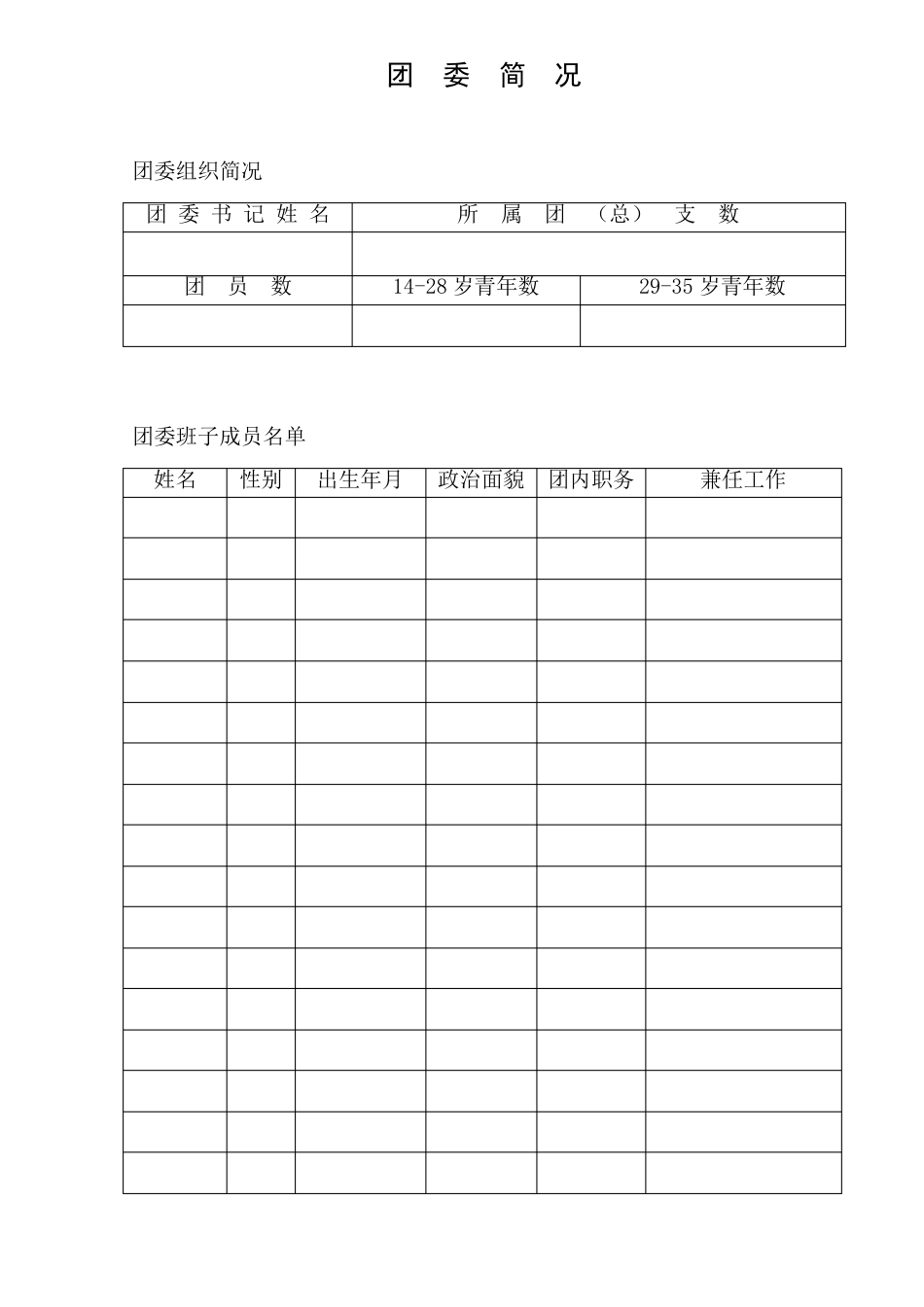 基层团委工作台帐_第3页