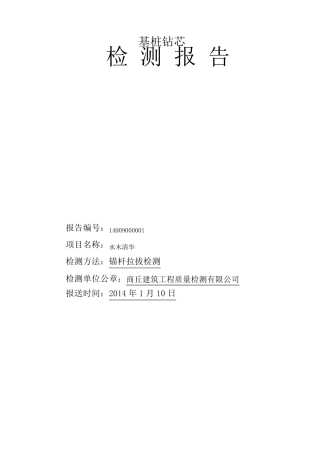 基桩钻芯检测报告