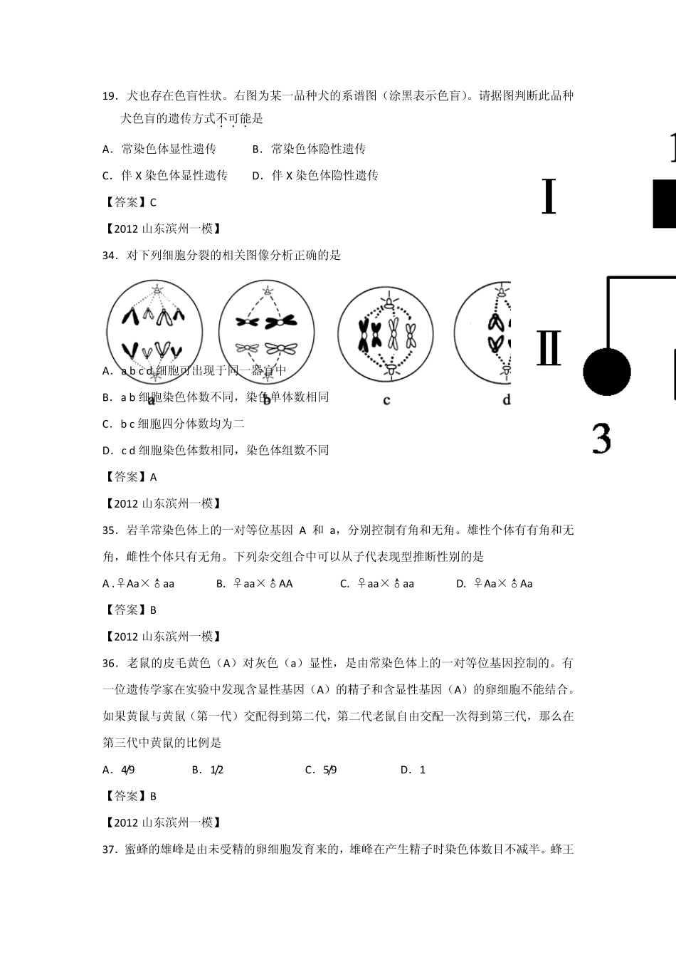 山东省各地市2012年高考生物最新试题分类汇编10：遗传的细胞学基础和遗传定律(选择题部分)_第2页
