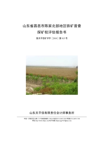 山东省昌邑市陈家北部地区铁矿普查探矿权评估报告书