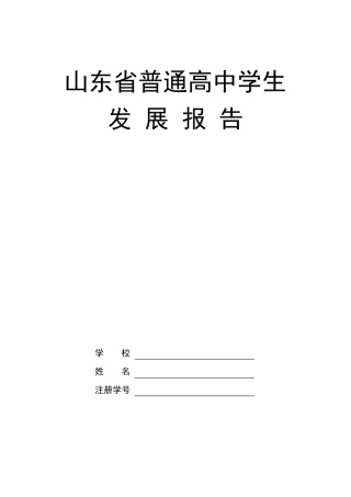 山东省高中发展报告空表
