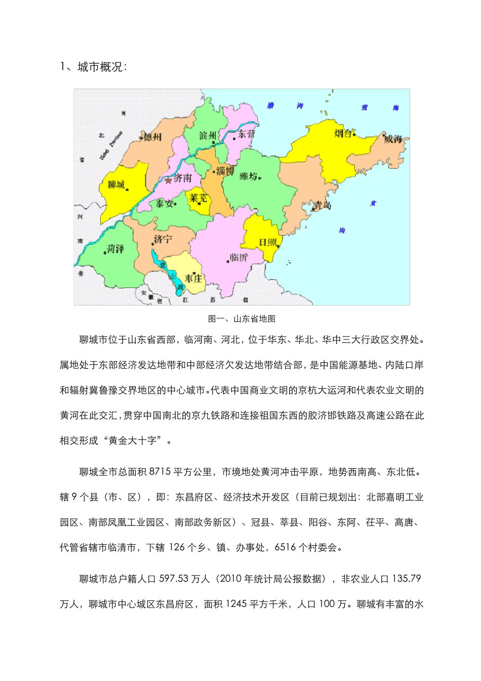 山东聊城房地产市场调查报告_第2页