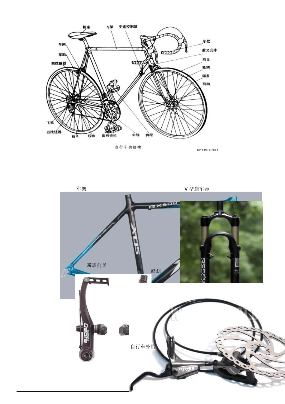 山地车入门知识、构造及主要配件_第1页