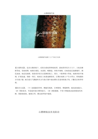 山楂树常见病及防治