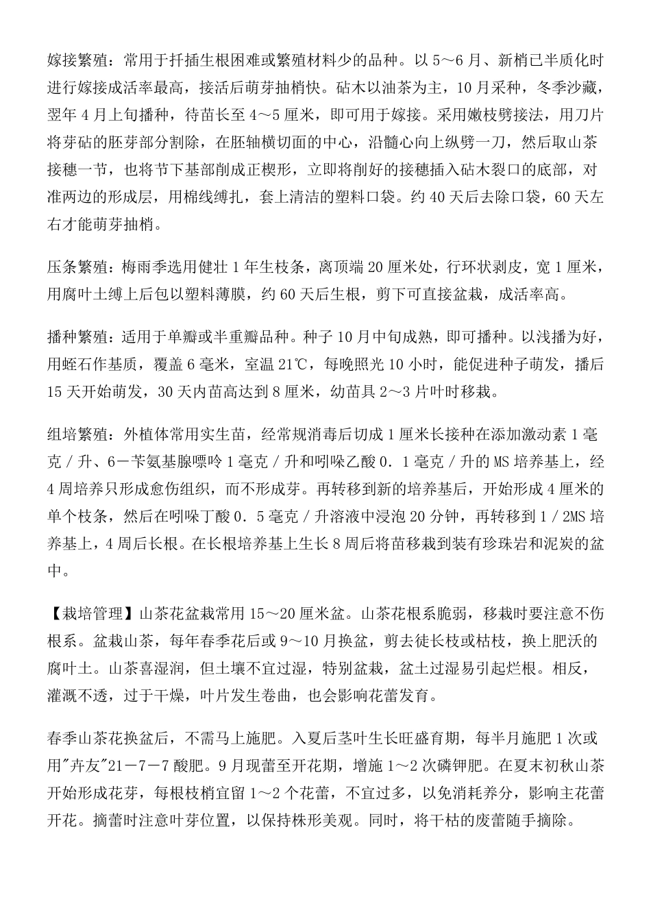 山茶花种植技术_第3页