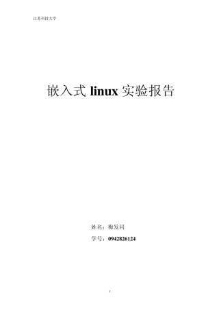 嵌入式实验报告书