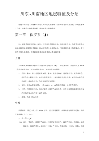 川东~川南地区地层特征及分层