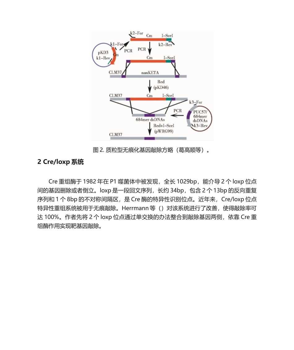 2025年微生物基因组无痕敲除技术介绍_第3页