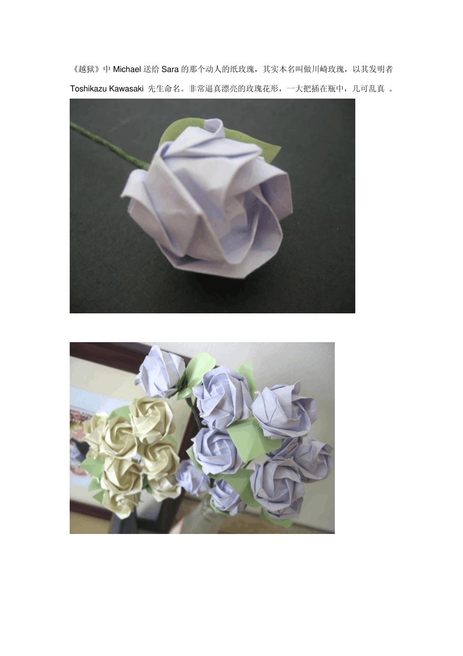 川崎玫瑰手工制作_第1页