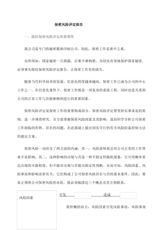2025年保密风险评估报告