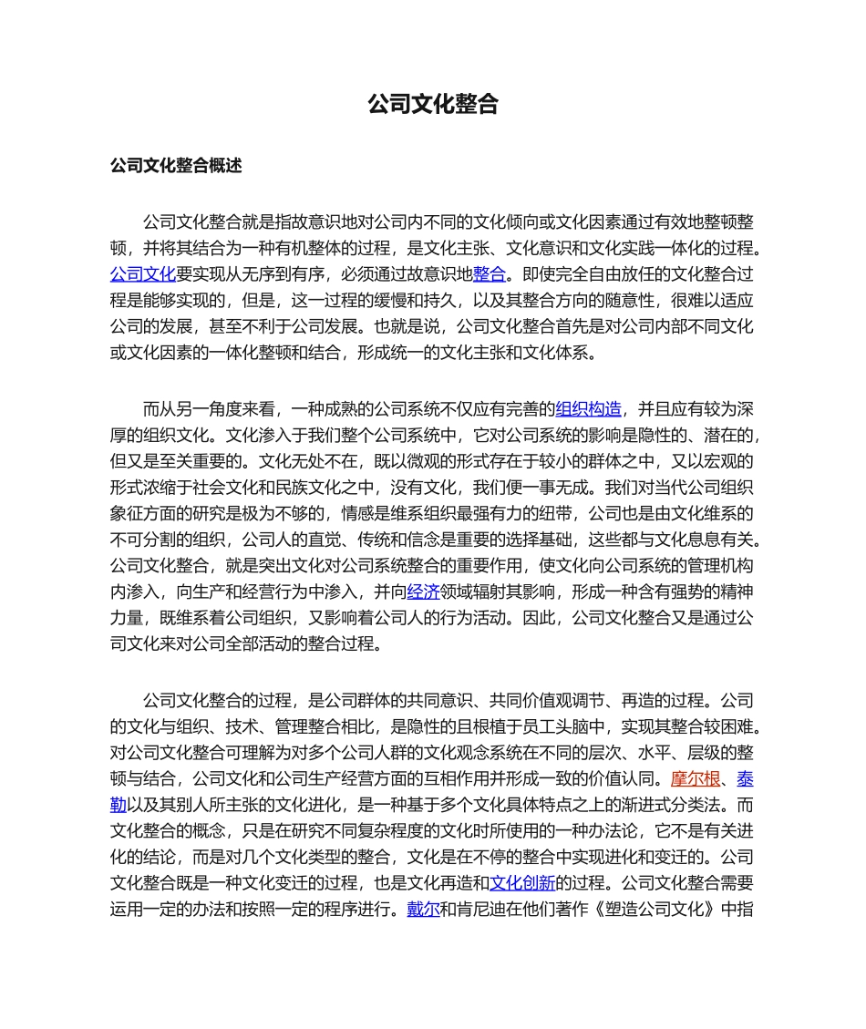 2025年企业文化整合_第1页