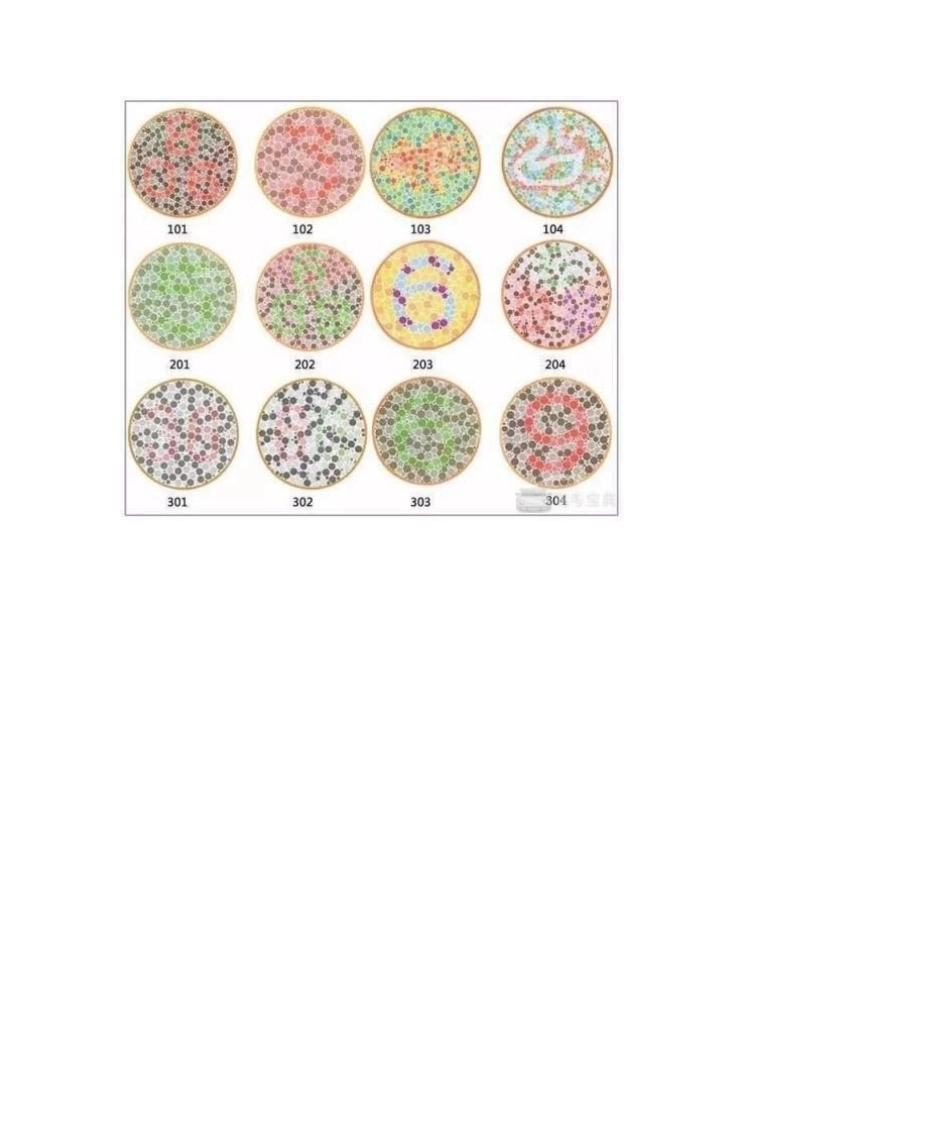 2025年色盲色弱测试图大全_第2页