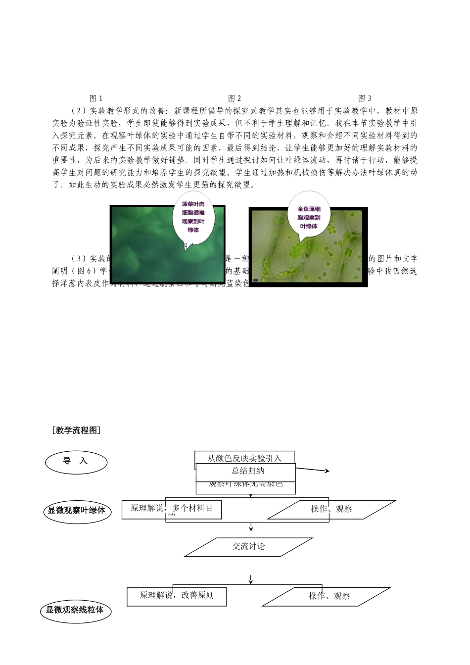 2025年叶绿体线粒体与细胞骨架的显微结构教学设计_第2页