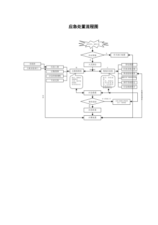 2025年应急处置流程图