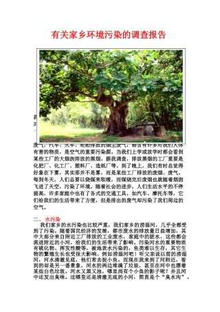 2025年关于家乡环境污染的调查报告