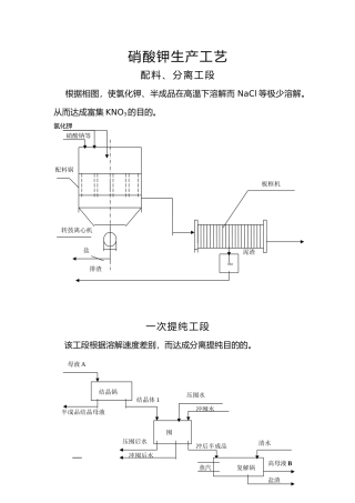 2025年硝酸钾生产工艺设计