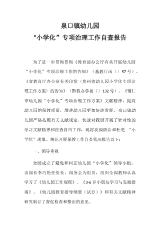 2025年小学化自查报告