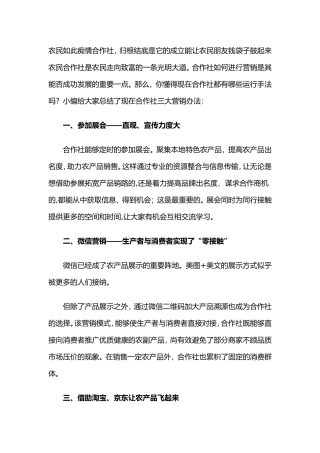 2025年农民合作社营销方案