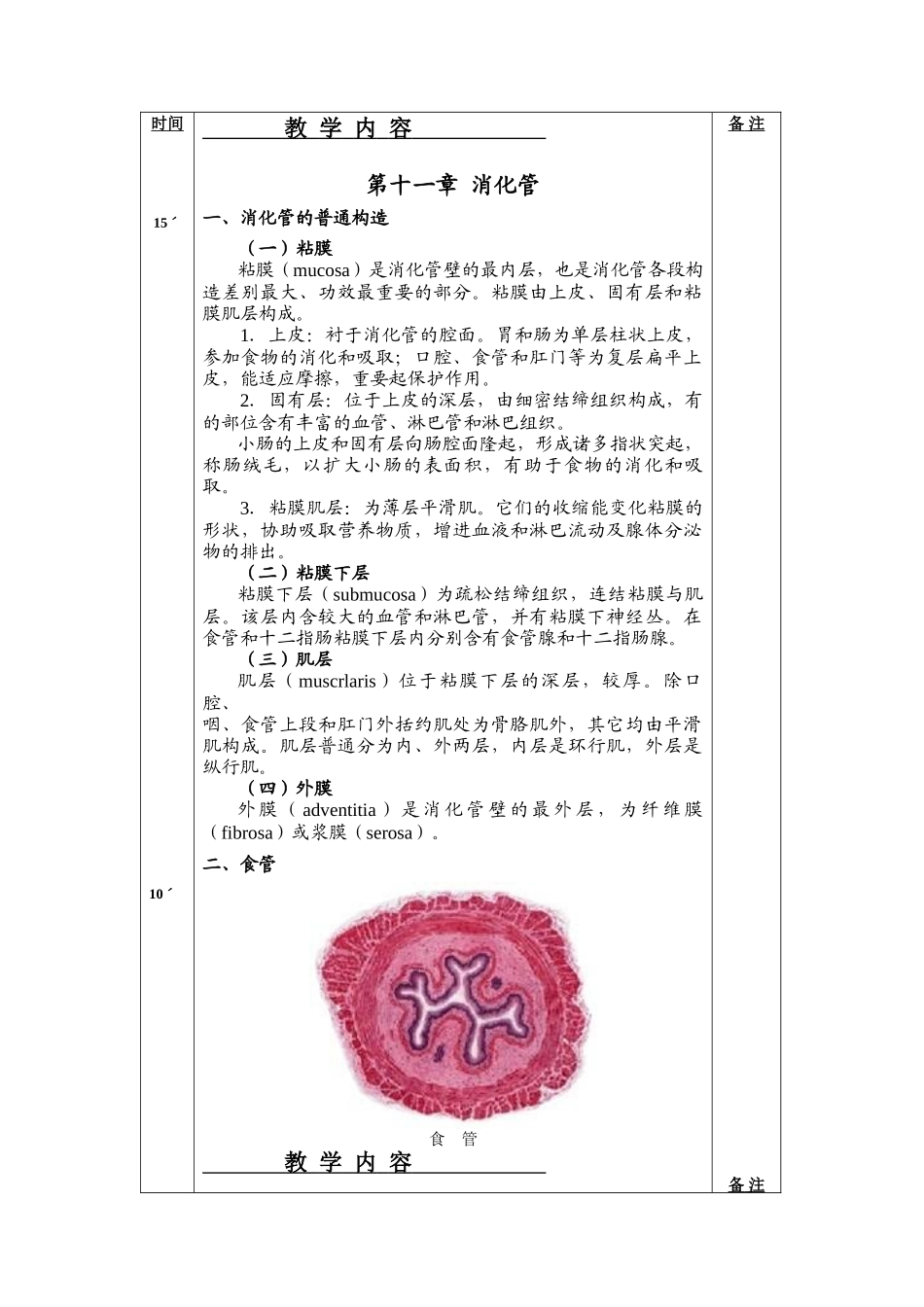 2025年组织胚胎学教案_第2页