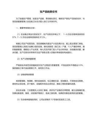 2025年生产目标责任书