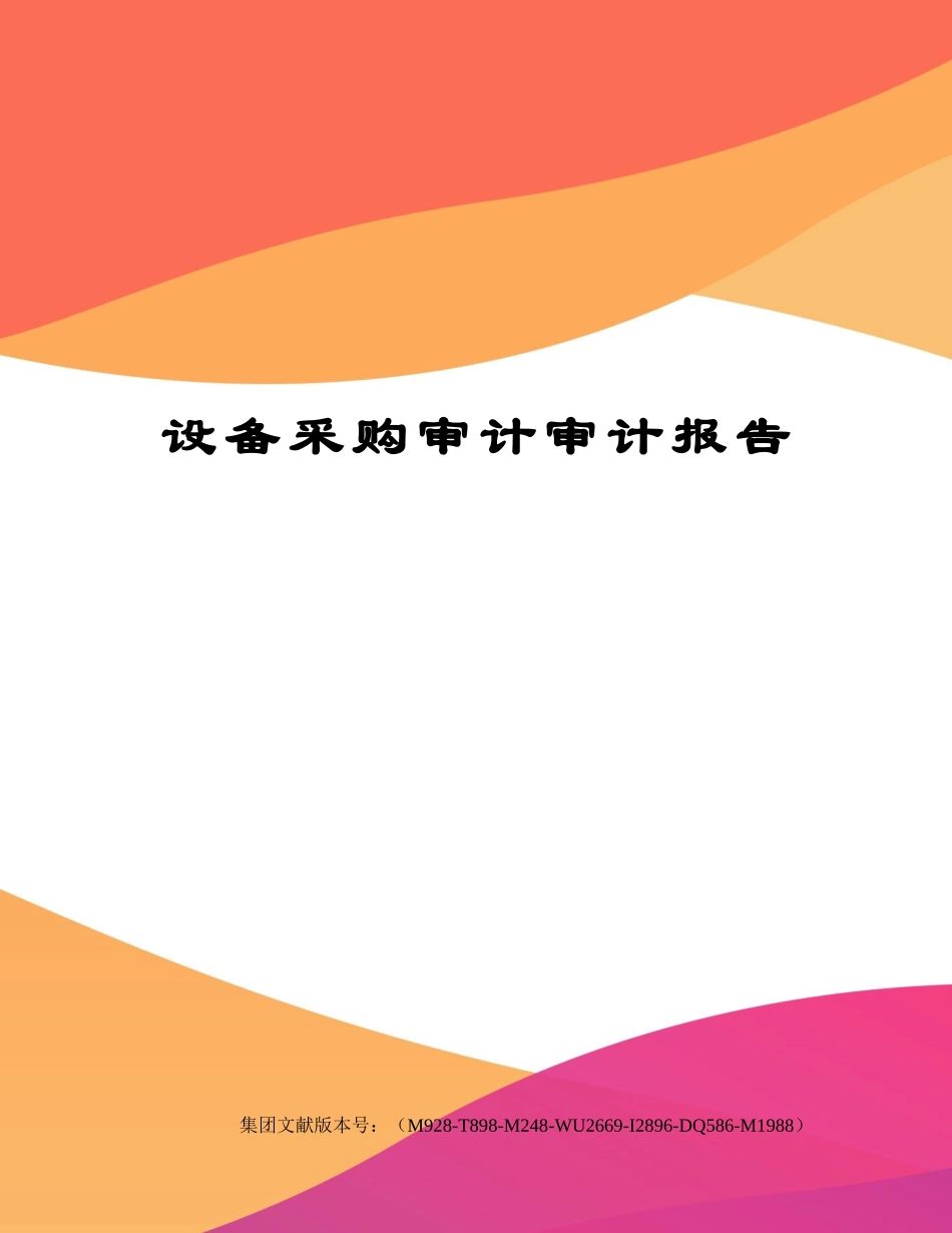 2025年设备采购审计审计报告_第1页