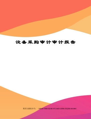 2025年设备采购审计审计报告