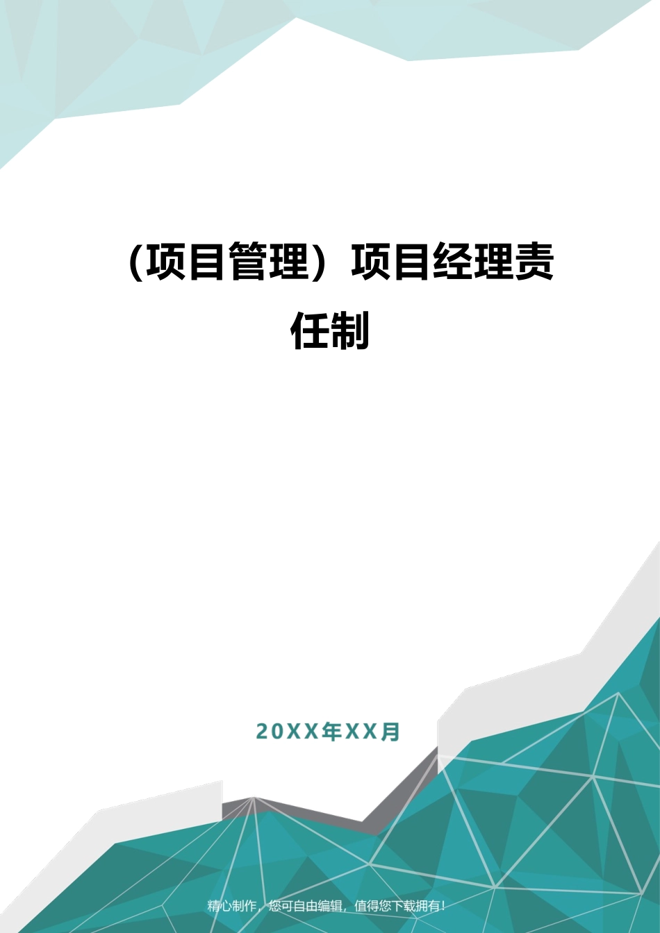 2025年项目管理项目经理责任制_第1页