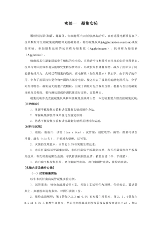 2025年免疫学实验凝集试验