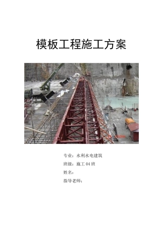 2025年水工结构模板施工方案设计