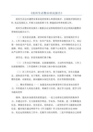 2025年《组织生活整改情况报告》