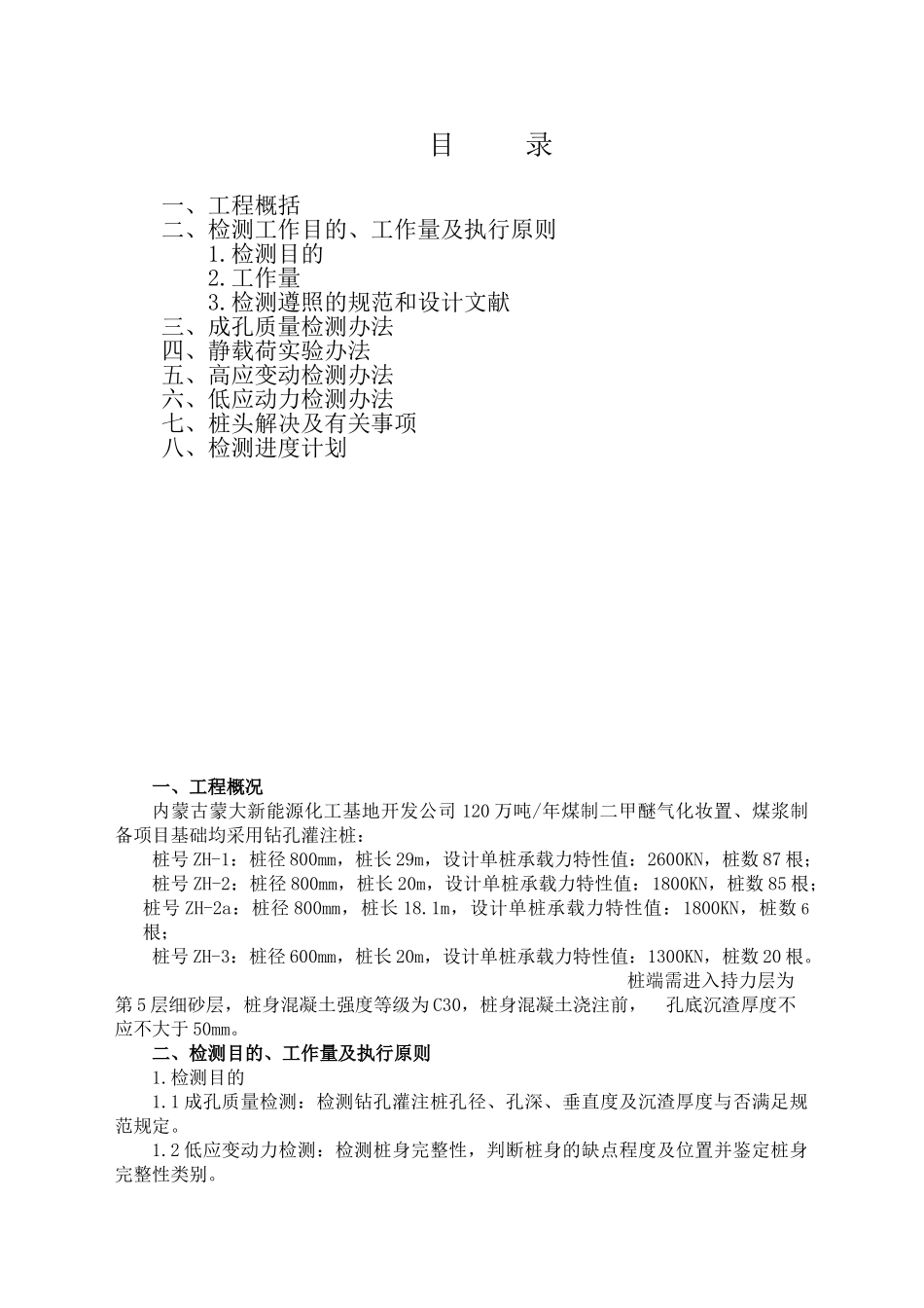 2025年钻孔灌注桩检测方案模板_第2页