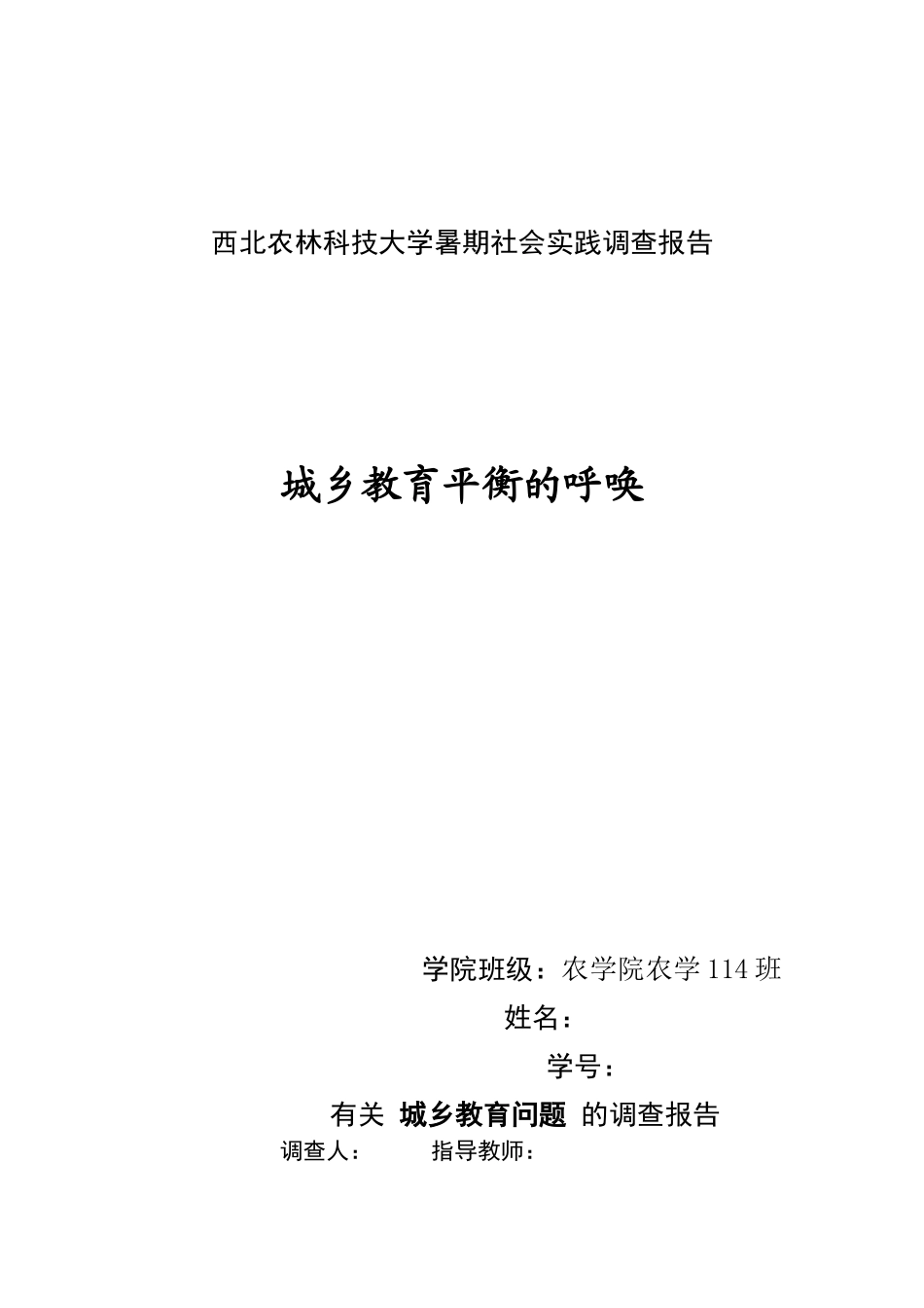2025年城乡教育调查报告_第1页