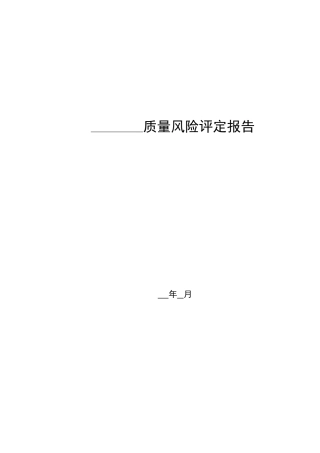 2025年质量风险评估报告