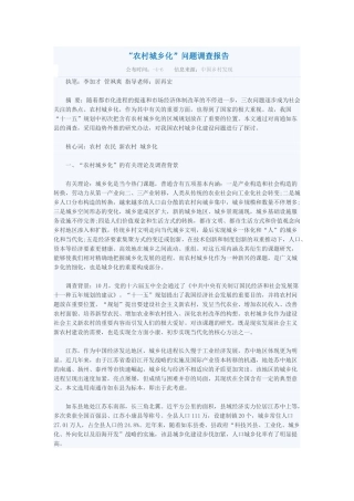 2025年农村城镇化问题调查报告
