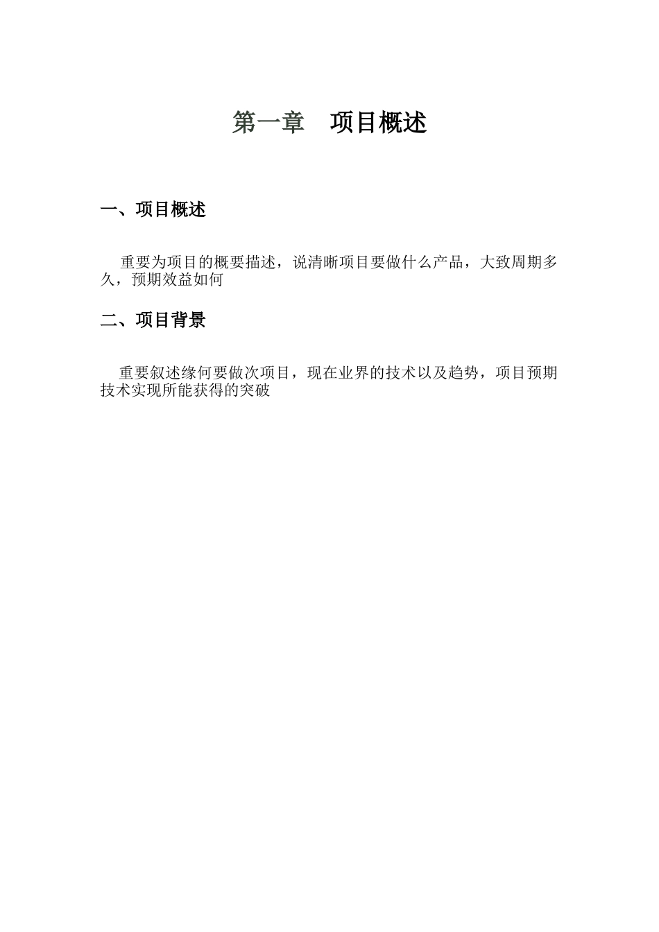 2025年项目立项报告模板_第3页