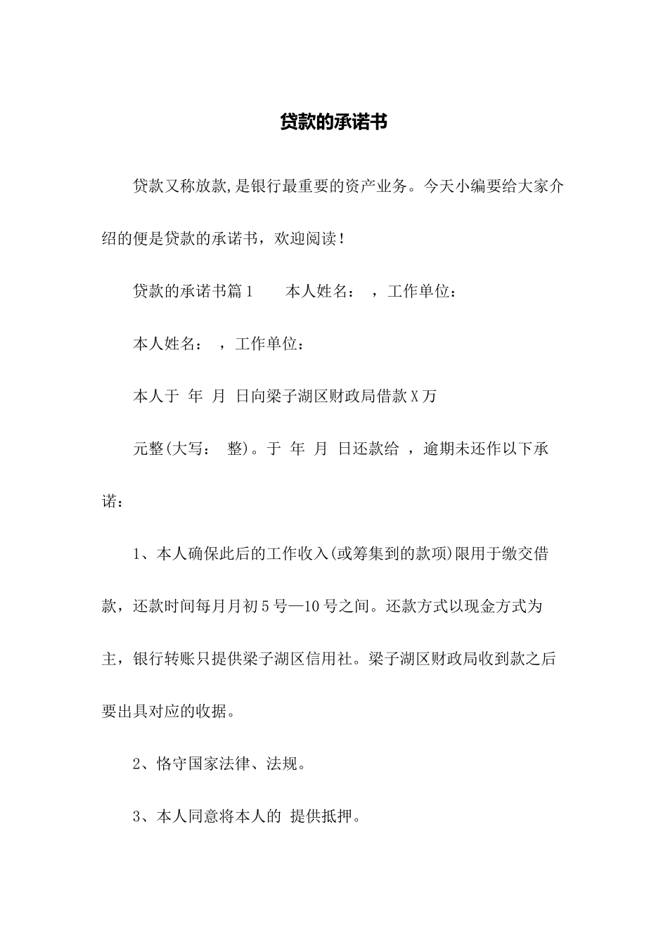 2025年贷款的承诺书_第1页