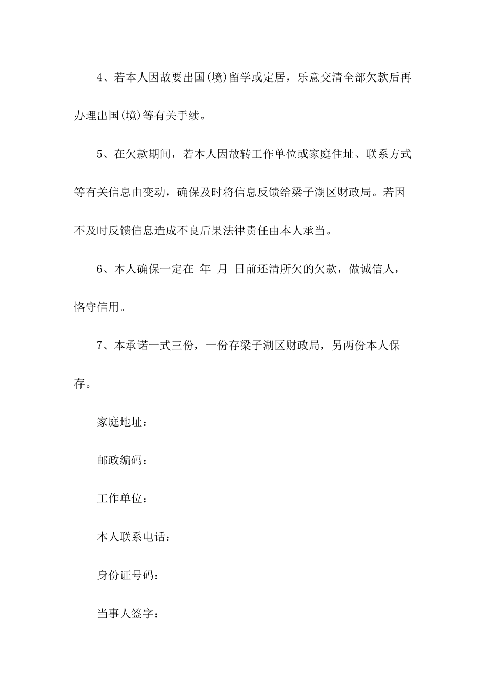 2025年贷款的承诺书_第2页