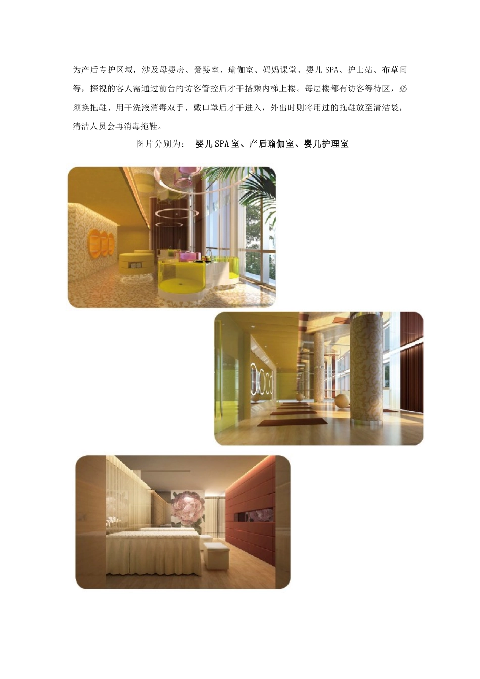 2025年月子中心调查报告_第3页