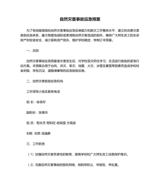 2025年自然灾害事故应急预案